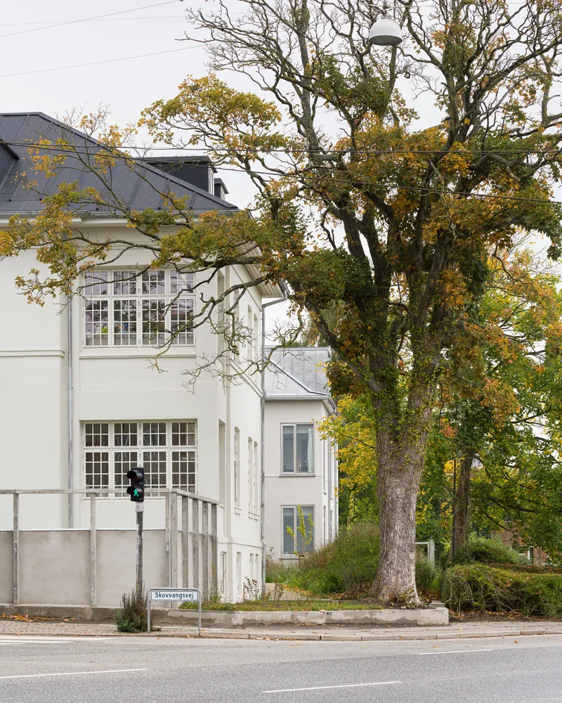 White facade with grid windows facing roadway bordered by mature deciduous trees in autumn