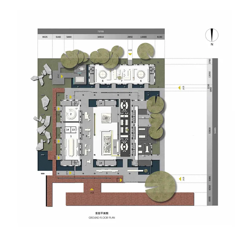 Ground floor plan with surrounding trees and dimensional annotations showing interior room layouts