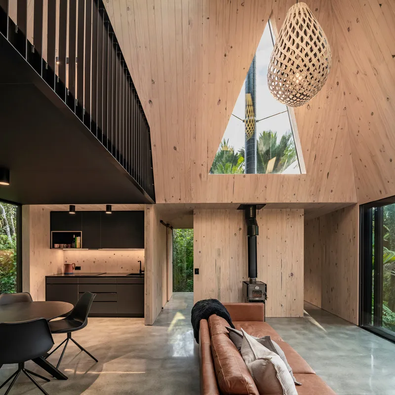 Double-height living space with vertical timber lining, triangular skylight and woven pendant light above polished concrete floor