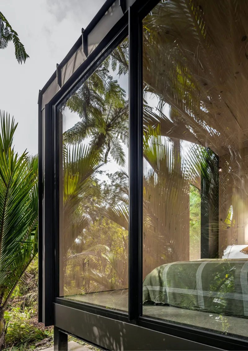 Black-framed glazing reflecting palm fronds with bedroom visible through the glass