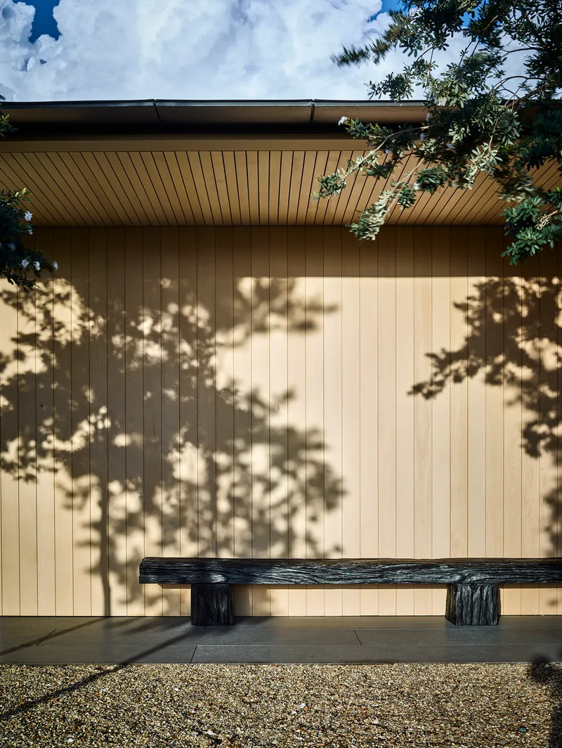 Vertical timber cladding with dappled tree shadow and charred wood bench on gravel