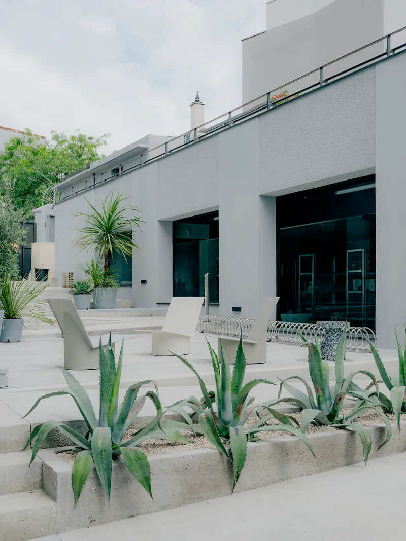 White facade with dark-framed openings beside a paved terrace with agave plants in concrete planters