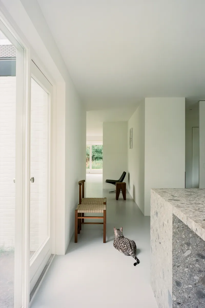Light-filled corridor with terrazzo-edged island and timber chairs on pale resin floor