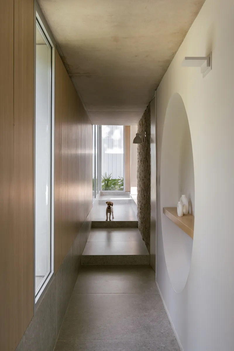 Narrow corridor with concrete ceiling and timber-clad wall leading to a planted courtyard niche