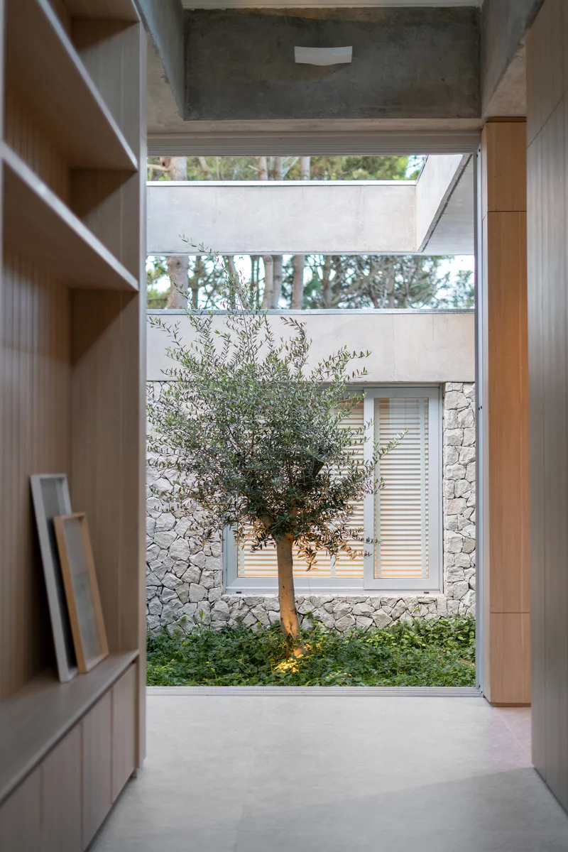 Timber-lined corridor with built-in shelving opening to courtyard with an olive tree and stone wall