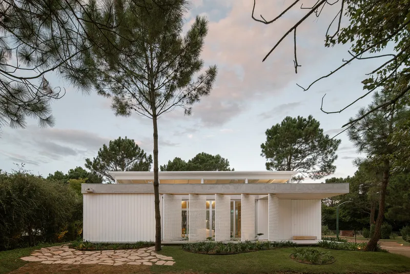White vertical board facade with flat roof overhang framed by pine trees at dusk