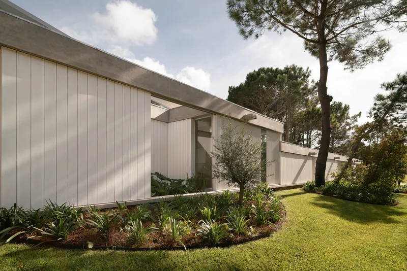 Landscaped entry with vertical cladding and planted beds beneath overhanging concrete roof planes