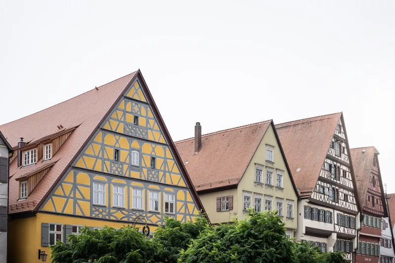 Street view of clustered timber-framed buildings with steep tiled roofs above a row of trees