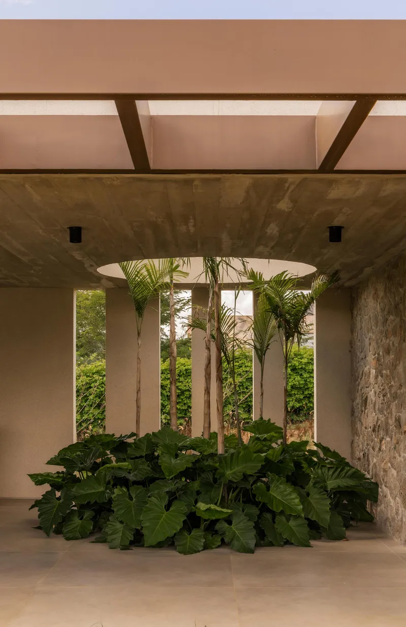 Interior courtyard with circular skylight above a bed of broad-leafed plants and palm trunks