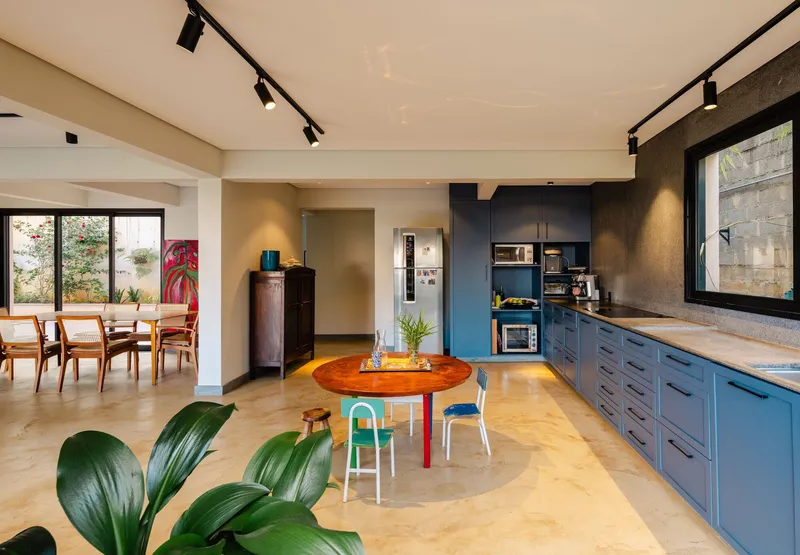 Open-plan kitchen and dining area with exposed track lighting and large potted plant in foreground