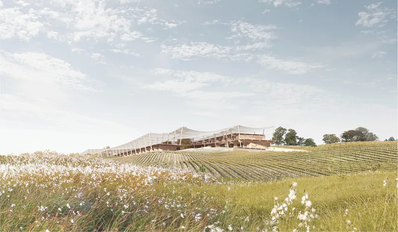 Overstory’s lightweight canopy rises gently above the vineyard, merging architecture with the cultivated landscape.