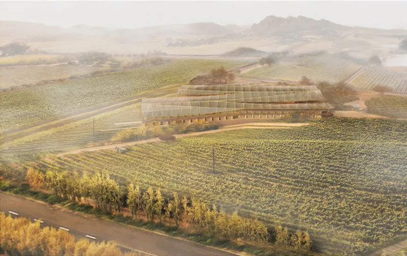 The aerial view reveals Overstory embedded within the vineyard, following the land through a low, elongated architectural form.