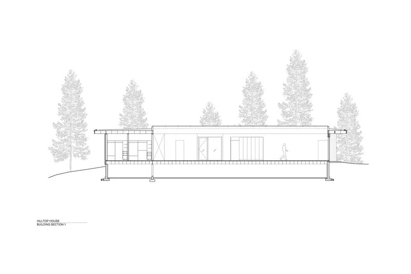 Section drawing showing the flat-roofed residence elevated on columns among conifer trees