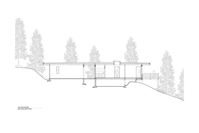 Section drawing revealing the split-level interior stepping down a sloped site with conifers