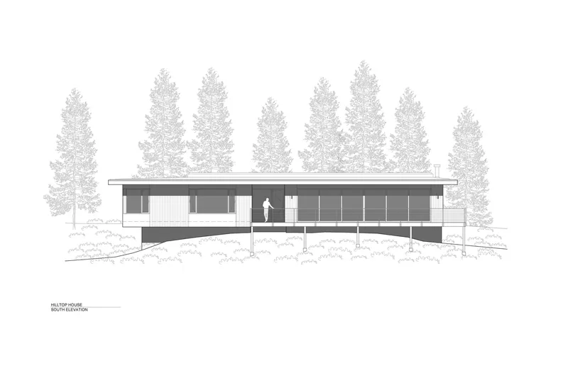 South elevation drawing of an elevated single-story house among conifer trees and planted foreground