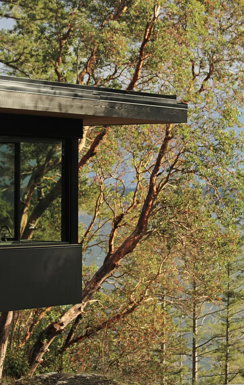 Corner window detail framed by arbutus branches with water view beyond