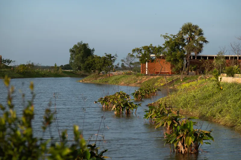 View across pond with planted edges and palm trees toward laterite brick building under late afternoon light