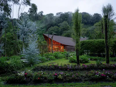Mallol Builds a Cedar Ark on the Misty Slopes of Panama's Volcán Barú