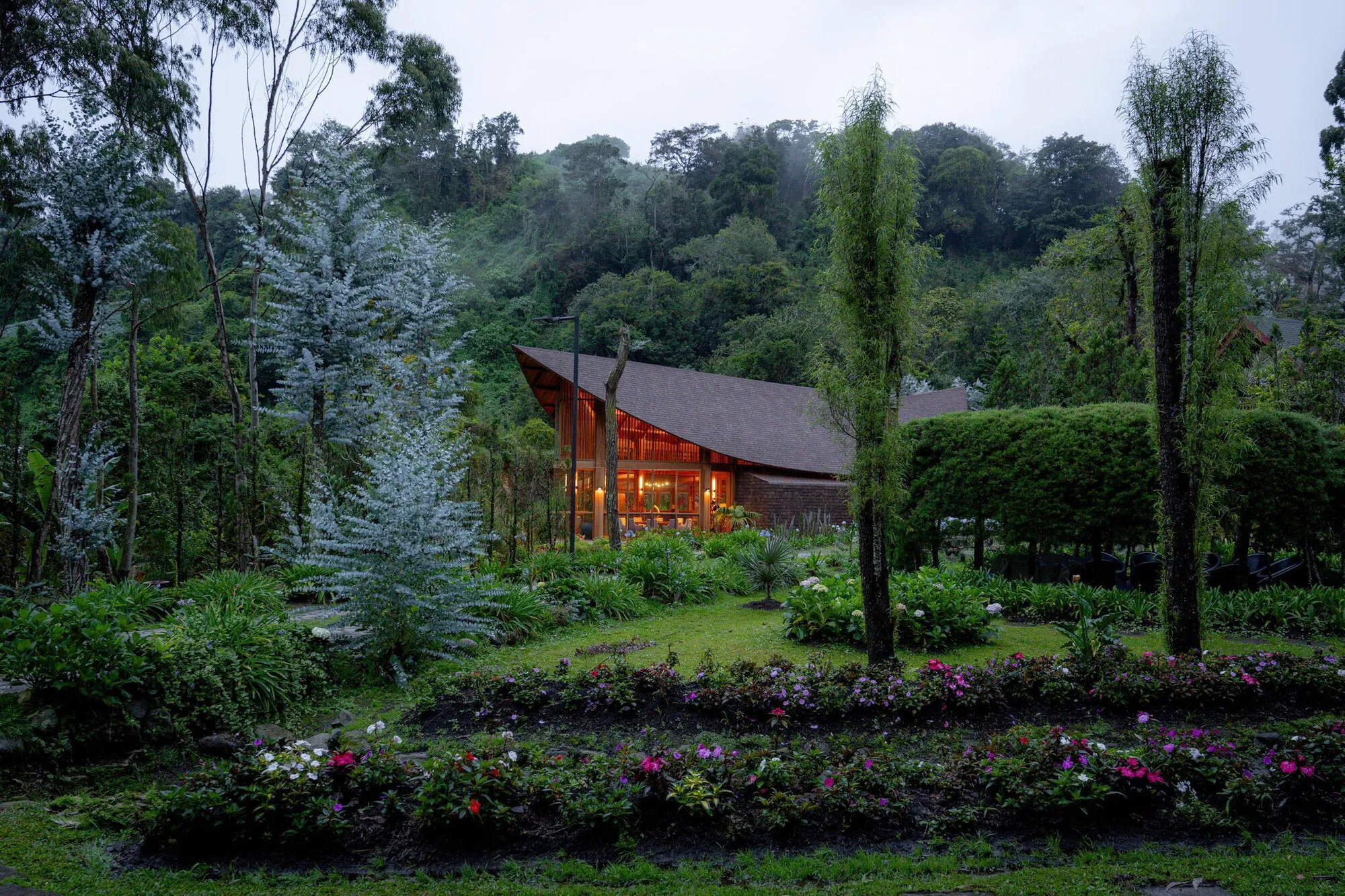 Mallol Builds a Cedar Ark on the Misty Slopes of Panama's Volcán Barú