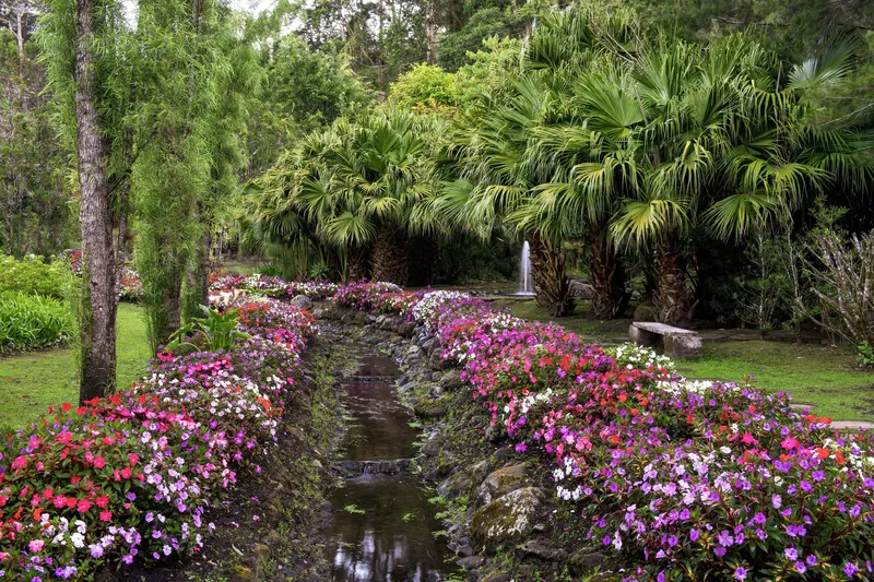 Stone-lined stream with flowering planted banks flowing through the garden beneath palm canopy