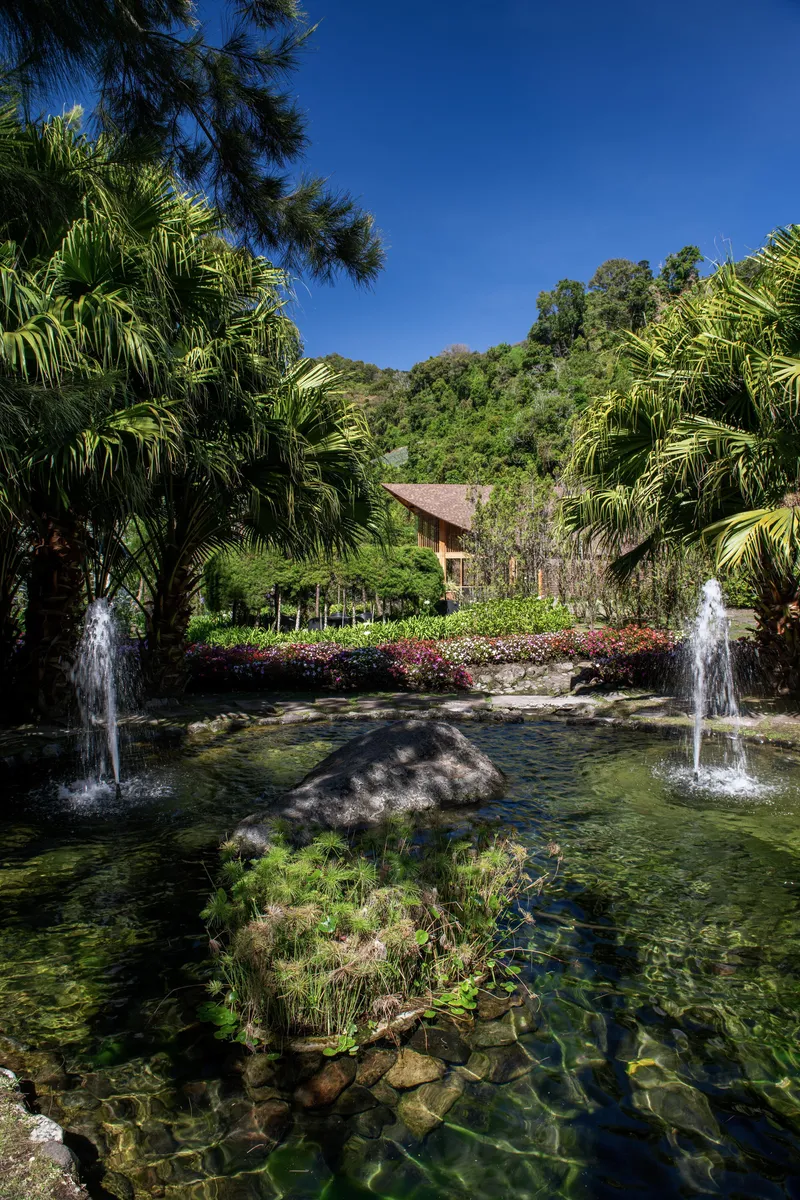 Shallow pond with two fountains and planted islands framed by palms and flowering groundcover