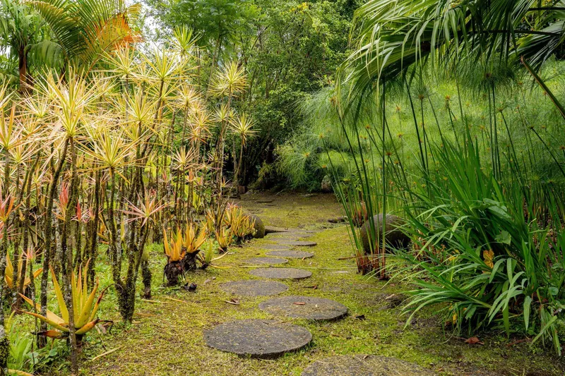 Circular stepping stone path through moss-covered ground flanked by palms and papyrus in the garden