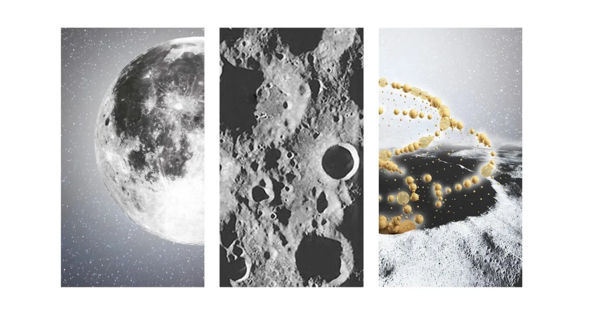 Lunar Spiral: Space Architecture Shaped by the Mathematics of the Universe