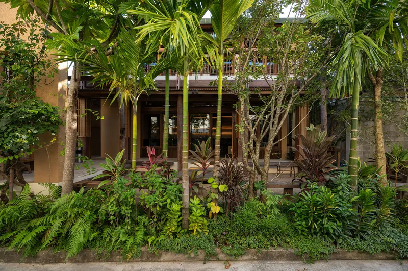 Recessed timber facade behind a planted garden with palms and tropical foliage