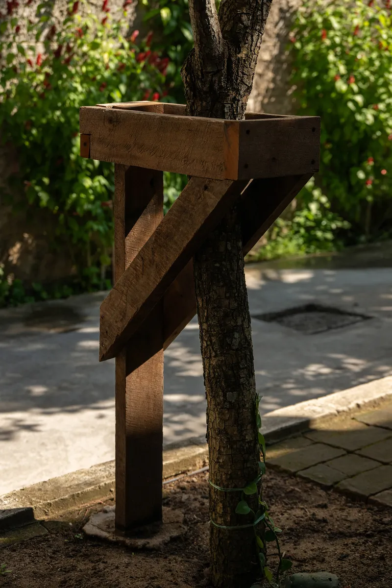 Weathered timber column support wrapped around a tree trunk in dappled sunlight