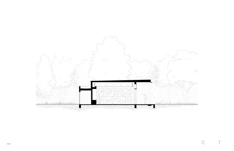 Section drawing showing a low-slung volume with brick patterned wall amid sketched tree canopies