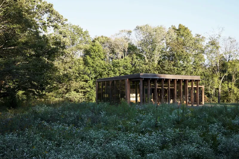 Timber pavilion with vertical wood screens and glazing nestled in an overgrown meadow beneath tall trees