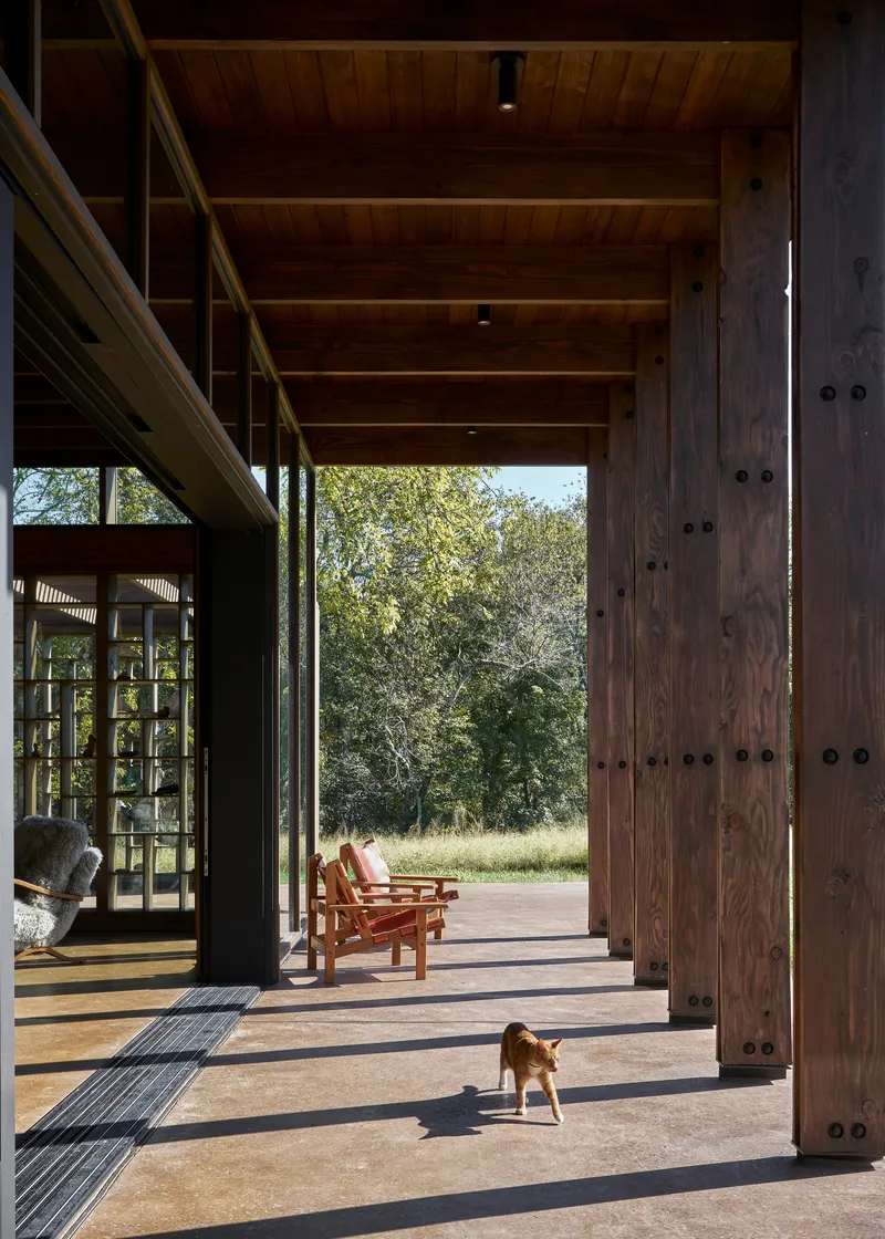 Covered porch with exposed timber beams and columns, a small dog crossing sunlit concrete flooring
