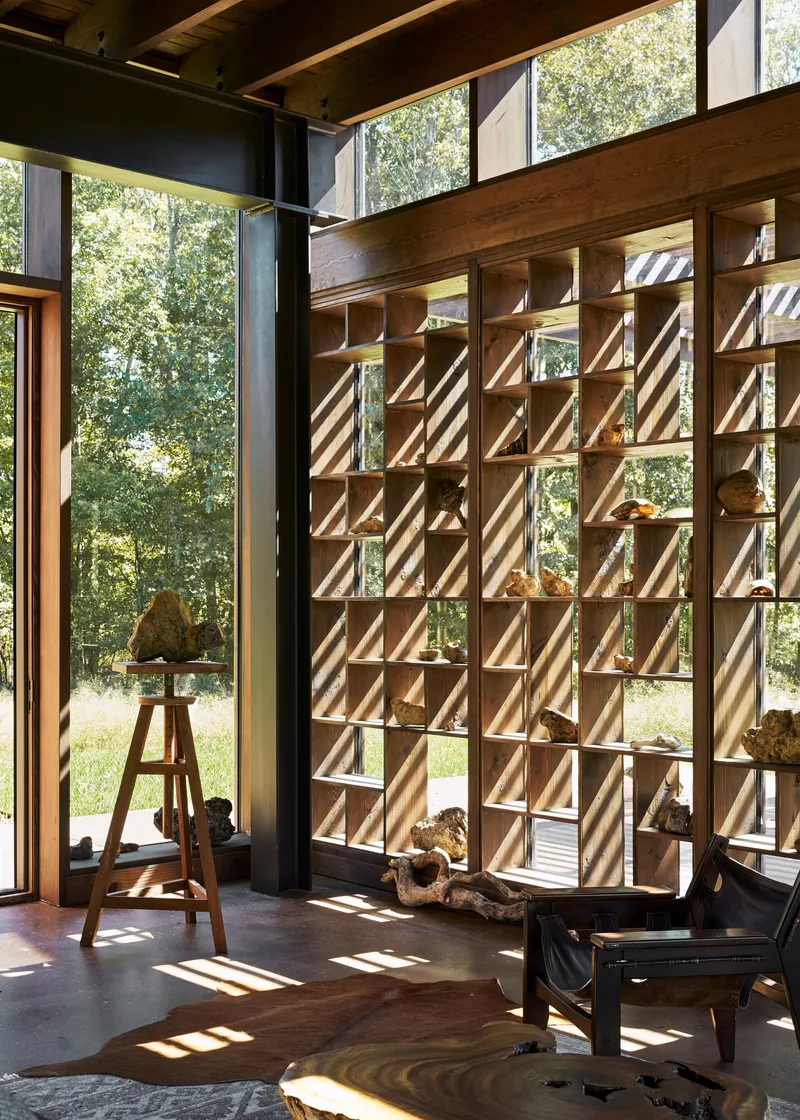 Double-height timber grid wall with cubbies displaying rocks and specimens, sunlight filtering through