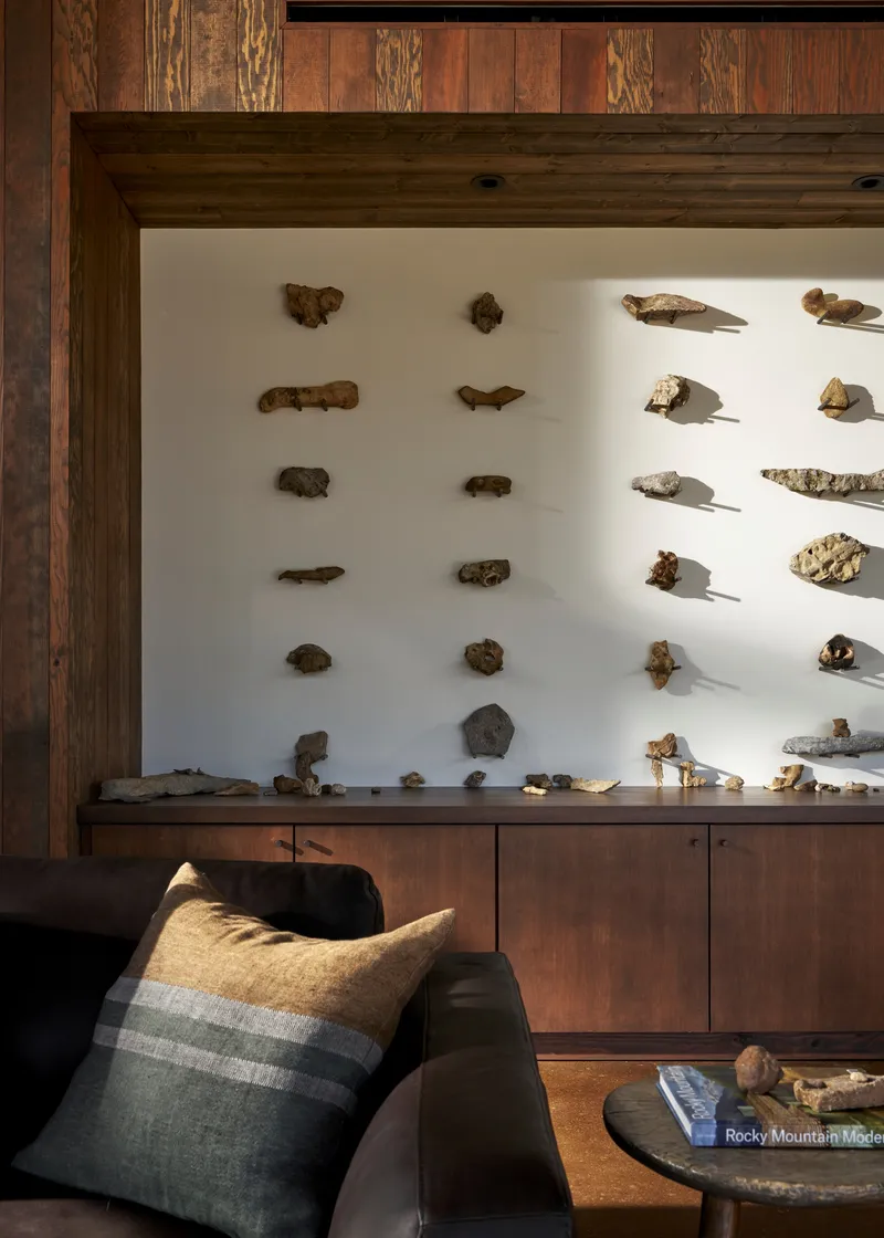 Close-up of the illuminated specimen wall showing fossils and stones arranged on white shelving above walnut cabinetry