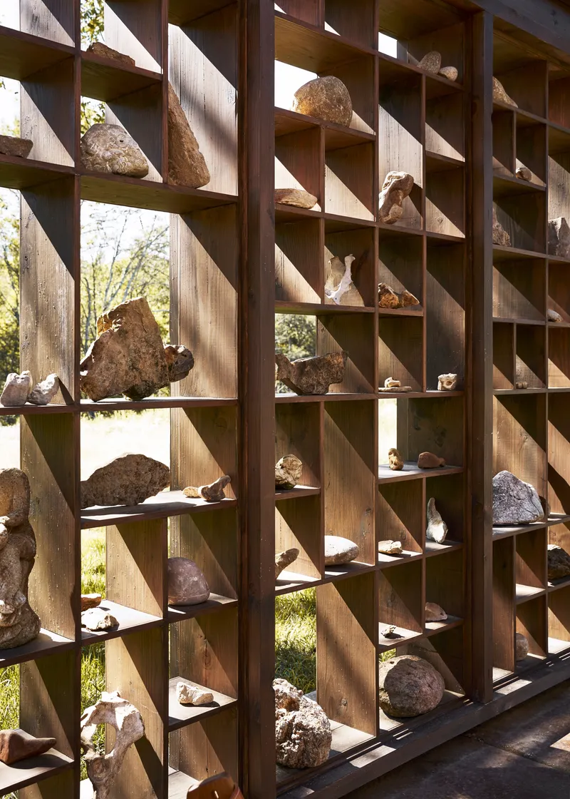 Timber grid shelving holding rocks and fossils with dappled sunlight filtering through from the wooded landscape beyond