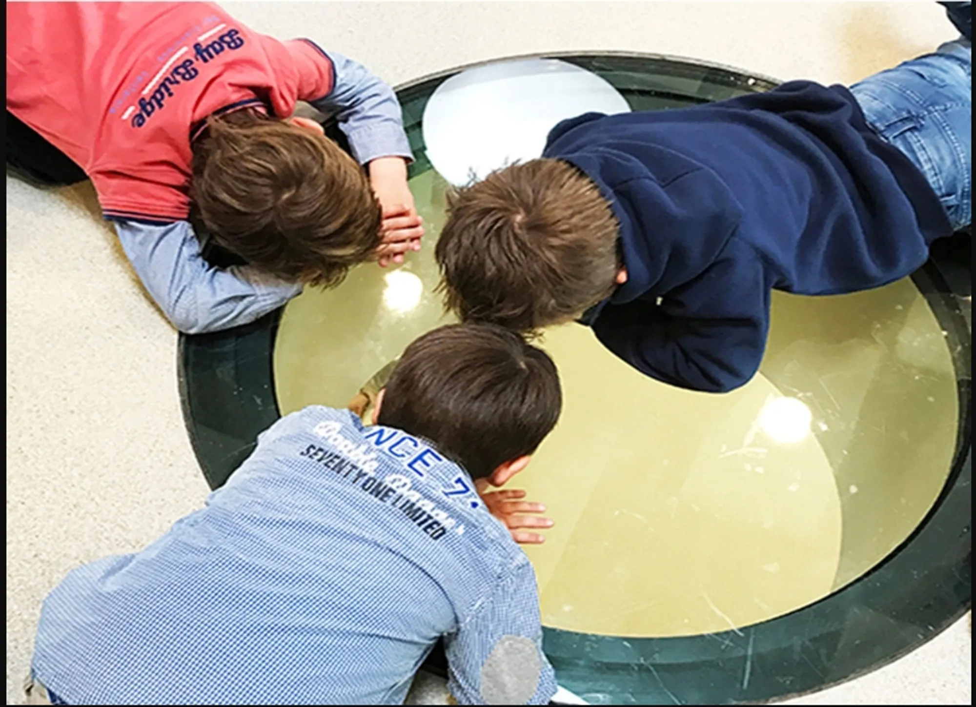 IKC de Geluksvogel: Sustainable School Architecture Designed for Free Movement and Digital Learning