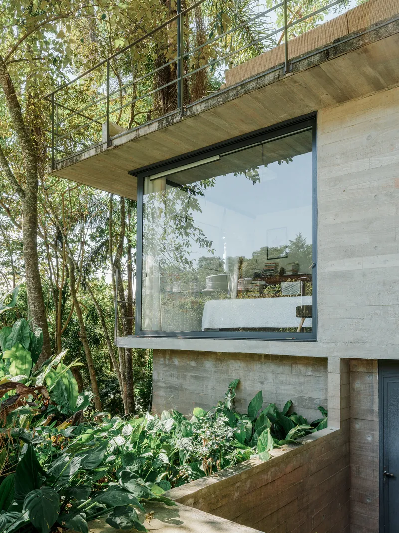 Board-formed concrete facade with large glazed opening and planted bed surrounded by dense forest vegetation
