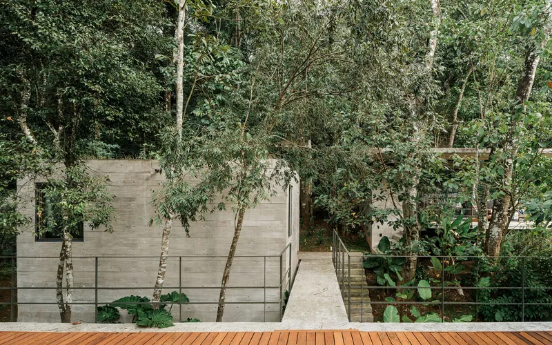 Timber deck overlooking board-formed concrete volumes set within forest clearing
