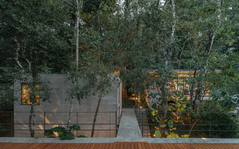 Street view of board-formed concrete facade nestled among trees with warm interior lighting at twilight