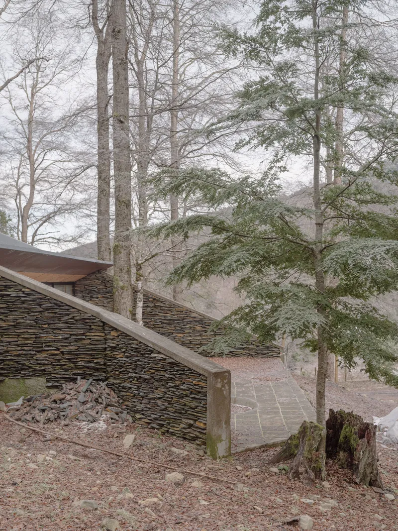 Detail of the layered stone wall corner with timber edge beam and pine needles on the ground