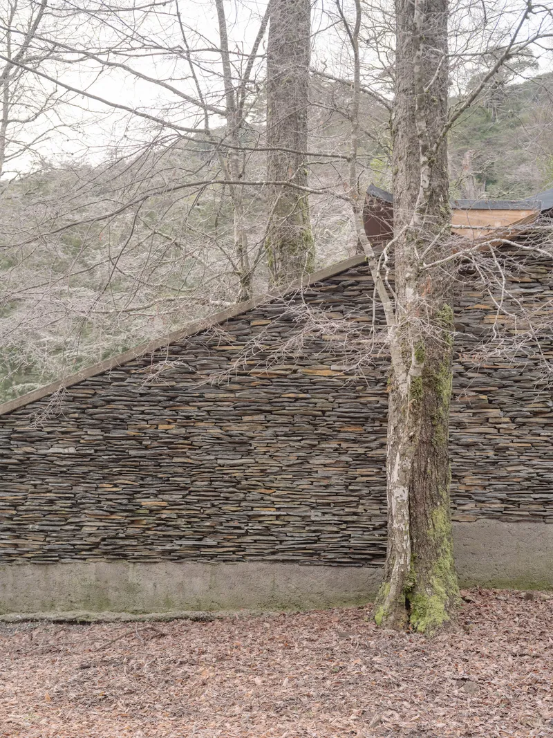 Angled view of the stacked slate wall surface behind bare winter trees with moss