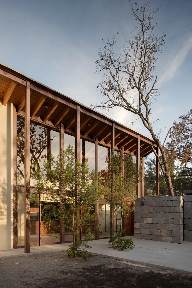 Glazed pavilion with exposed timber roof structure and planted courtyard under a bare tree at twilight