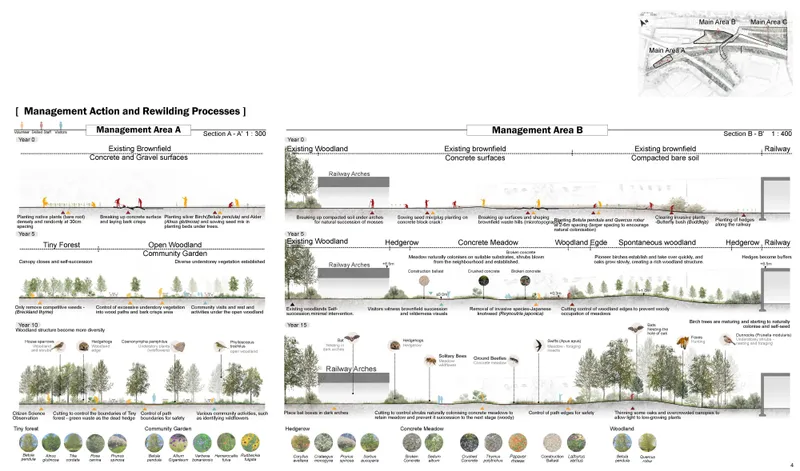 Rewilding Processes of Area A and B