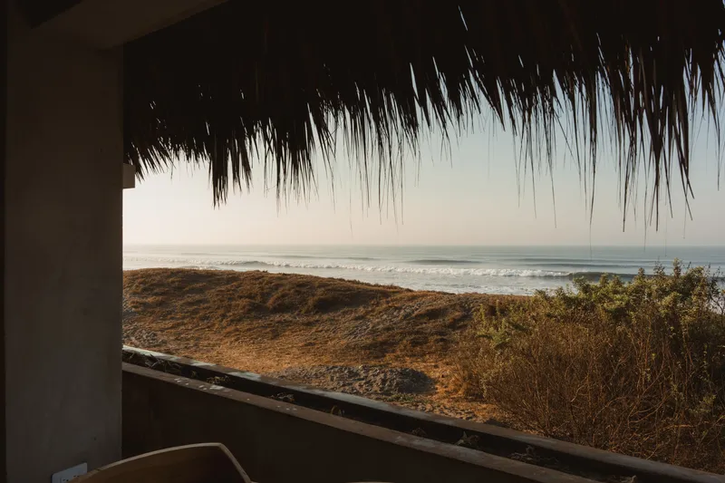 Window framing a view of the ocean and coastal scrub through a thatched roof overhang