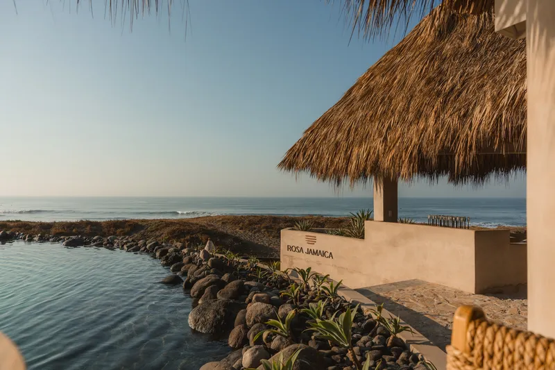 Thatched palapa roof overhanging a planted planter bed with succulents along the pool edge