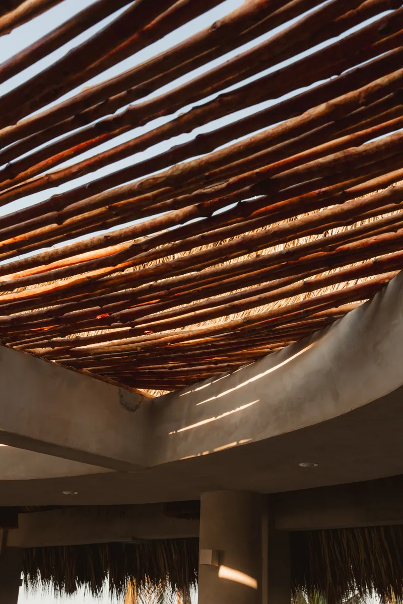 Timber slat ceiling with sunlight filtering through gaps above a concrete soffit