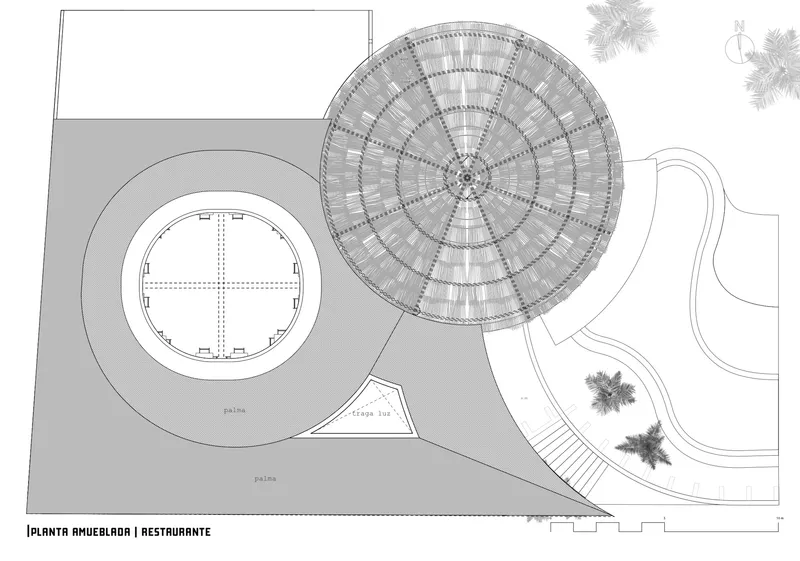 Roof plan drawing showing radial timber structure of circular dining pavilion and adjacent pool