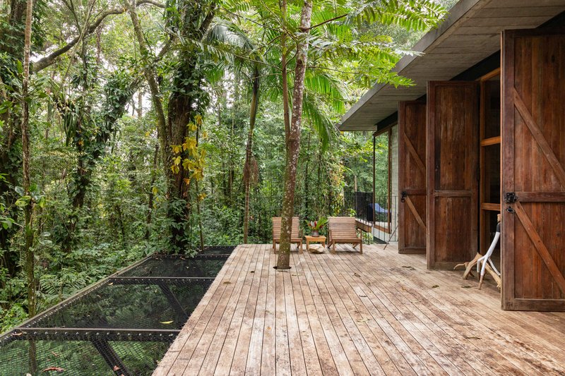 Timber deck terrace with lounge chairs extending into lush tropical forest canopy