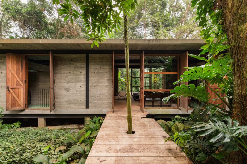 Timber boardwalk leading through planted groundcover to board-formed concrete pavilion with existing tree