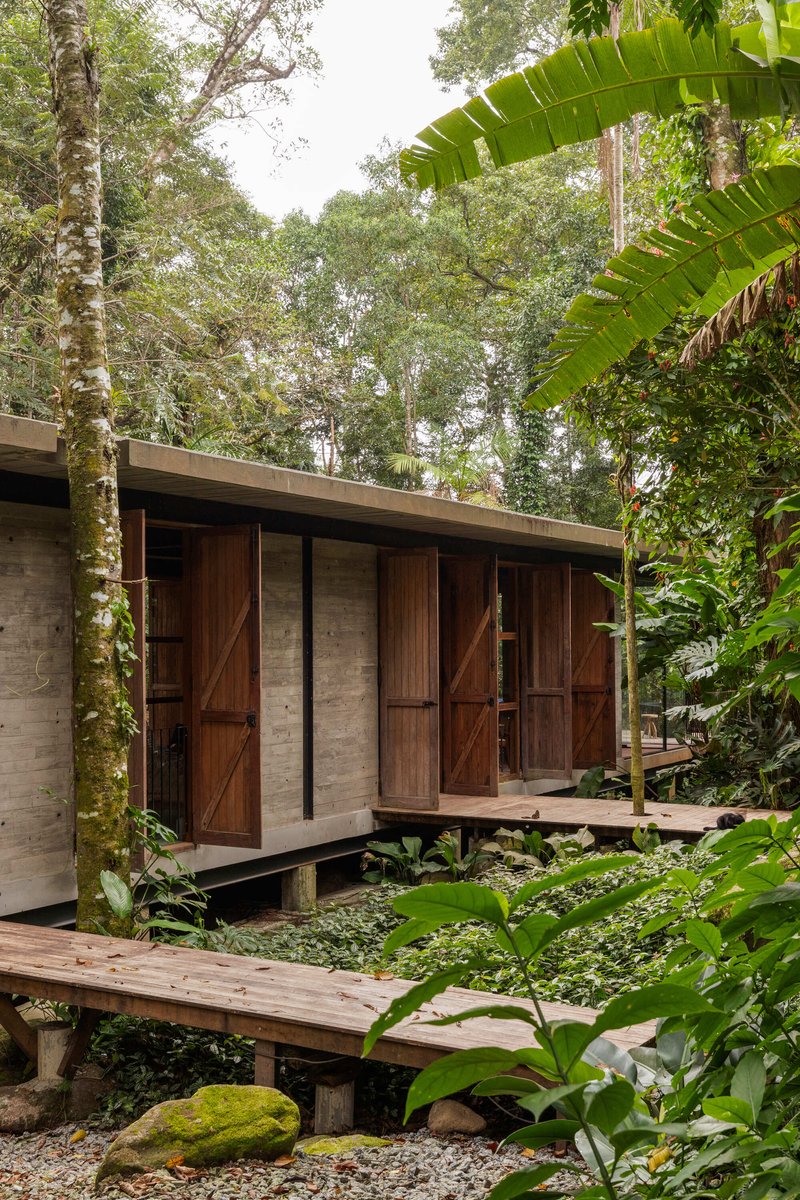 Board-formed concrete volume with sliding timber doors on raised deck surrounded by banana plants